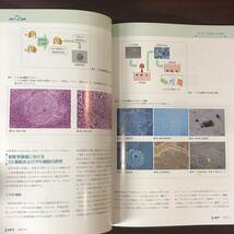 Ｊ-Ⅴeｔ　2011年4月　獣医師向け総合情報誌　小動物　子宮蓄膿症　2. 外科的治療と併発疾患　獣医学　動物病院【A36】_画像6