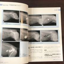 ＣＡＰ　小動物獣医師　臨床総合誌　2011年　前立腺疾患の治療ストラテジー　獣医学　動物病院【A36】_画像3