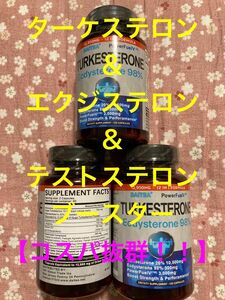 【コスパ抜群】ターケステロン&エクジステロン&テストステロンブースター 配合　賞味期限26年11月　120錠×3ボトルセット