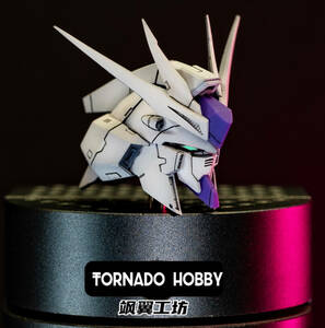 【TORNADO HOBBY】1/100 MG Hi-νガンダム ハイニュー 用 ヘッドパーツ 色付き 3Dプリント品 改造 未組立 プラモデル 新品