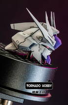 【TORNADO HOBBY】1/100 MG Hi-νガンダム ハイニュー 用 ヘッドパーツ 色付き 3Dプリント品 改造 未組立 プラモデル 新品_画像3