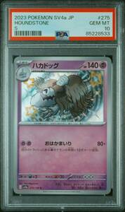 ハカドッグ S PSA10