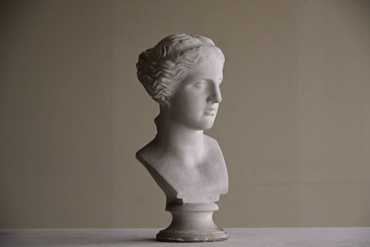 2024年最新】Yahoo!オークション -石膏像(彫刻、オブジェ)の中古品 