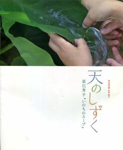 天のしずく 辰巳芳子 いのちのスープ パンフ★レシピ10種類掲載 ★映画 パンフレット aoaoya