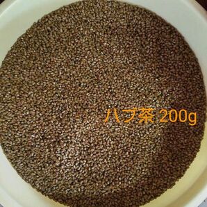 ハブ茶 200g 2023年11月収穫