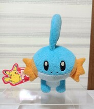 ポケモンセンター 2003 ポケドール ミズゴロウ ぬいぐるみ マスコット Poke Doll Pokmon Center ポケットモンスター_画像1