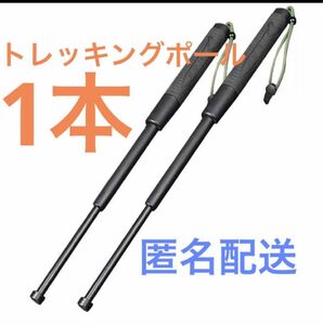 トレッキングポール 登山 アウトドア 折りたたみ 収納袋付き キャンプ