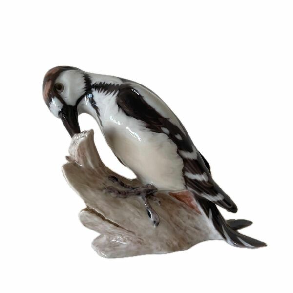 Ｂ＆Ｇ・Common Magpie・カササギ・１３cm×１７cm
