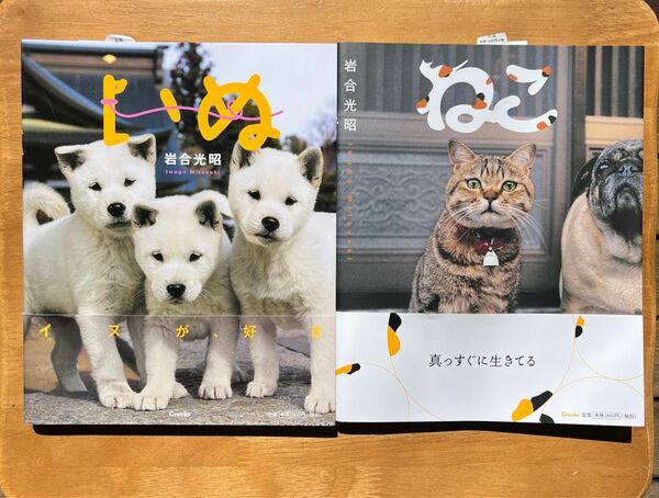 【美品】ねこ　いぬ　写真集　岩谷光昭　動物　イヌ　ネコ　犬　猫　