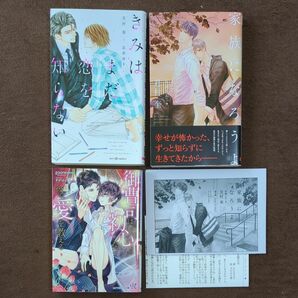 BL小説3冊セット●御曹司は初心な彼に愛を教える/gooneone　家族になろうよ　きみはまだ恋を知らない/月村奎