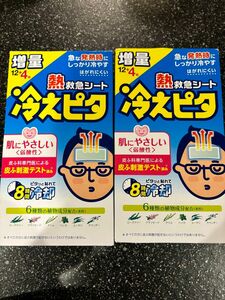 LION ライオン 冷えピタ 大人用 2箱 熱さまシート