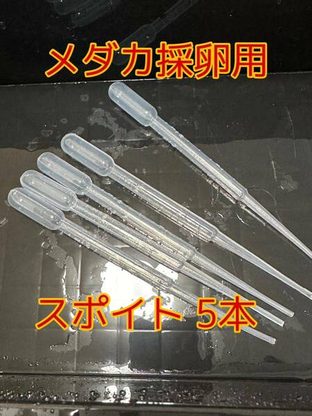 メダカ 採卵 スポイト 5本 ピペット 金魚 メチレンブルー 採卵用 水槽 掃除 アクアリウム