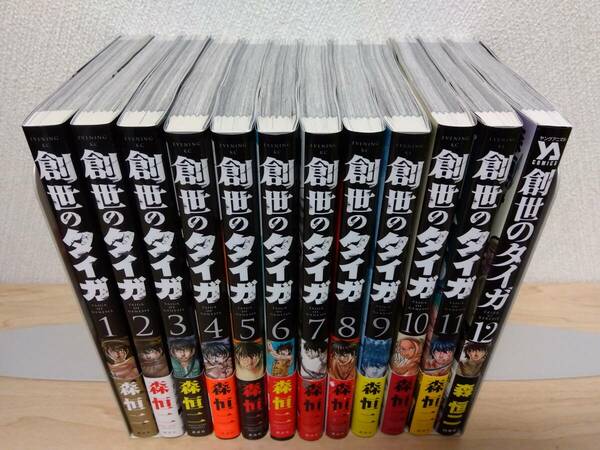 創世のタイガ 1～12巻 森恒二 1～12巻セット