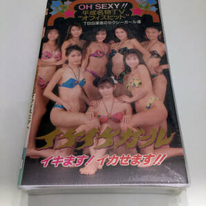 即決 新品 VHSビデオ セル版 イケイケガールズ 平成名物TV TBS 林ゆりあ 千野沢子 谷口ユキ 島田直美 田村愛 片多一恵 堺光子 秋山静香 の画像1