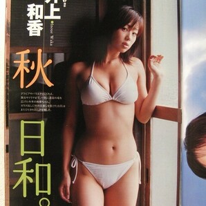 プレイボーイ2004年◆井上和香/矢田亜希子/大久保麻梨子/加藤つかさ/関彩/紋舞らん/瀬戸早妃/黒沢あすか/名門大学ミスコン/川島令美/MARIの画像2