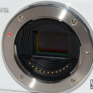 【外観特上級】OLYMPUS PEN Mini E-PM1 ミラーレス一眼レフ #s4050の画像5