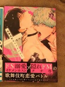 BL新刊◆歌舞伎町キャットハニー