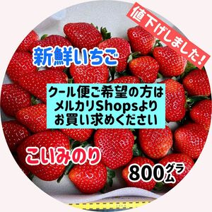 ik-25【数量限定】新鮮いちご 恋みのり 800㌘