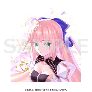 アニプレックス C103 TYPE-MOONグッズ　Fate/Grand Order FGO　Premium Tapestry 2023（アルトリア・キャスター）