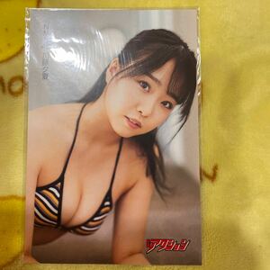 加藤夕夏　ポストカード NMB48 漫画アクション　セブンネットショッピング限定ポストカード　非売品　水着 アイドル 加藤夕夏　グラビア