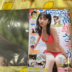 ヤングガンガン 高雄さやか　白濱美兎　付録ポスター ローマふたり暮らし つりこまち 地獄に堕ちてよ お兄ちゃん 推しに願いを グラビア