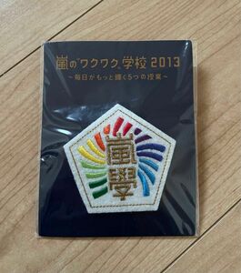 嵐 ジャニーズ 嵐学 バッジ わくわく学校 2013 ワッペン 嵐 グッズ 校章 嵐のワクワク学校 刺繍 コレクション