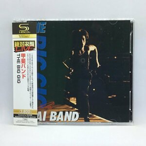 SHM-CD◇甲斐バンド/THE BIG BIG (2CD) TOCT 95171・72