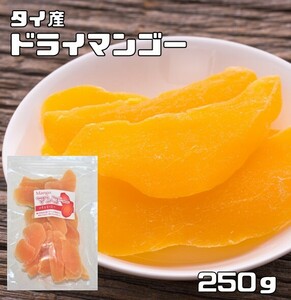 世界美食探究　フィリピン産　ドライマンゴー　250ｇ