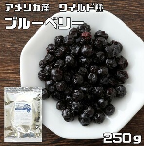 ブルーベリー 250g ドライフルーツ アメリカ産 世界美食探究 ワイルド種 乾燥 製菓材料 製パン材料 おつまみ おやつ 国内加工