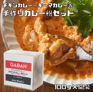 手作りカレー粉セット 100g×12袋 ギャバン 20種類のスパイス ハウス食品 香辛料 粉 業務用 カレールー GABAN ミックススパイス