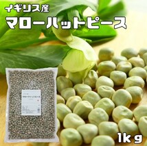 マローハットピース 1ｋｇ まめやの底力 イギリス産 青豌豆 えんどう豆 あおえんどう 豆ごはん 乾燥豆 豆類 和風食材 生豆_画像1