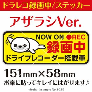 アザラシ あざらし ドライブレコーダー 録画中 ステッカー 煽り運転