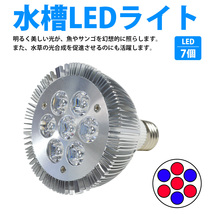 水槽 用 スポット ライト 14W 電球 7LED 青3/赤4 口金 E26 アクアリウム 電球 照明 植物育成 水草 サンゴ 熱帯魚 観賞魚_画像2