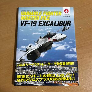 ヴァリアブルファイター・マスターファイルVF-19エクスカリバー : 聖剣の軌跡