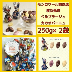 ■たっぷり250g×2袋■ベルプラージュカカオパーニュ■モンロワール姉妹店リーフメモリー■