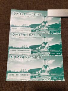 なばなの里 入村ご招待券３枚