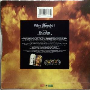 【英7】 BOB MARLEY AND THE WAILERS ボブ・マーリー WHY SHOULD I / EXODUS ( KINDREAD SPIRIT MIX 4つ打ち ) 1992 UK盤 7インチ EP 45の画像2