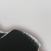 【中古】開封品 S.H.Figuarts(真骨彫製法) 仮面ライダー轟鬼 バンダイ 「仮面ライダー響鬼」 魂ウェブ商店限定[240018332840]_画像3