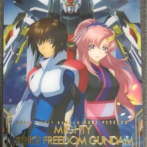ガンダムシードフリーダム ウエハース UR