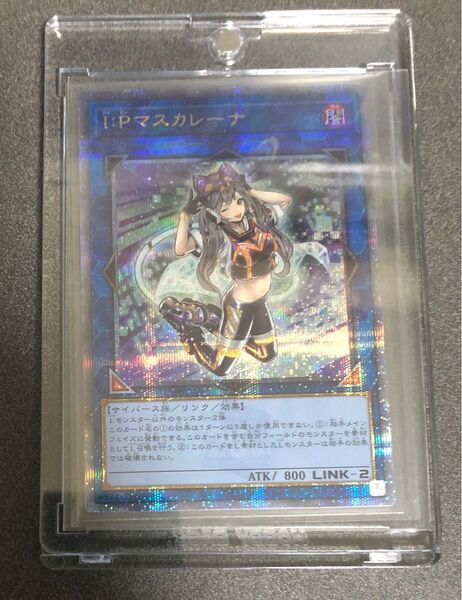 遊戯王 I:Pマスカレーナ 25th クオシク