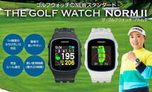 送料込み！グリーンオン／THE GOLF WATCH NORM Ⅱ／本体・USBケーブル・取説・箱有り／ベルト限定カラー（ベージュ）_画像7