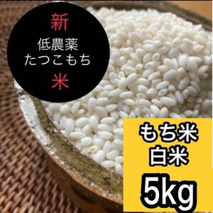 新米R5産◎低農薬 【たつこもち】もち米白米5kg