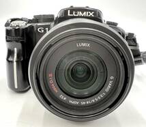 i1127SK Panasonic LUMIX DMC-G1W G VARIO ダブルズームレンズキット 1:3.5-5.6/14-45 1:4-5.6/45-200 ミラーレス一眼 デジタルカメラ_画像2