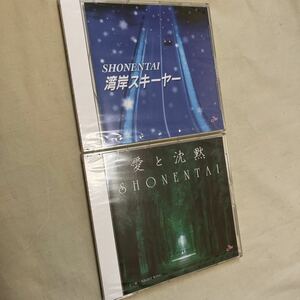 少年隊 CD2枚セット 湾岸スキーヤー/愛と沈黙