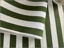 mets★6m*ストライプ*tea green white*オックス*コットン生地20G_画像4