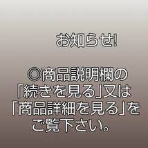 (N-11)南蛮焼急須 茶注梨皮朱泥 茶銚 共布 共箱 常滑 本物保証 煎茶道具 茶壺 南蛮焼 常滑茶器 備前_画像10