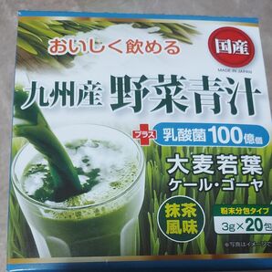 ヘルシーパートナー 九州産野菜青汁＋乳酸菌 3G×20包