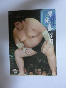 BBM　大相撲カード　2004年版　琴光喜啓司　17