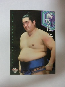 BBM　大相撲カード　2004年版　栃乃花仁　53