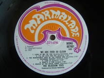 ★[英原盤] Blossom Toes 1st 激レアMONO美品/We Are Ever So Clean/Late60s UK Psyche Progre Masterpiece/ブロッサム・トウズ_画像3